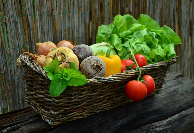 Leafy Green Salad